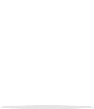 Tesla Motor